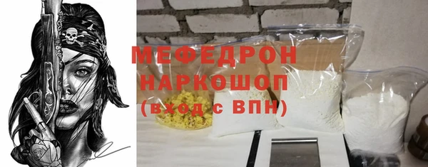 индика Няндома