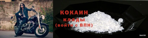 хмурый Абаза