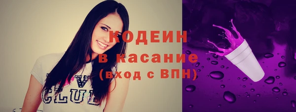 хмурый Абаза
