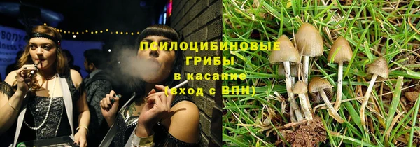 ПСИЛОЦИБИНОВЫЕ ГРИБЫ Алзамай