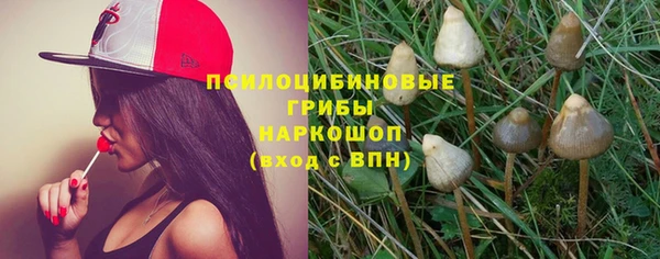 хмурый Абаза