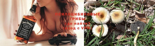 гидра Абинск