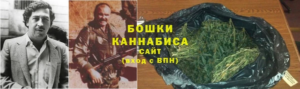 ПСИЛОЦИБИНОВЫЕ ГРИБЫ Алзамай